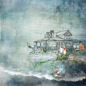 life at the shoreline