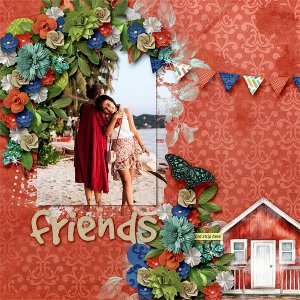 Friends