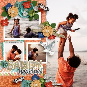 Sandy Beaches