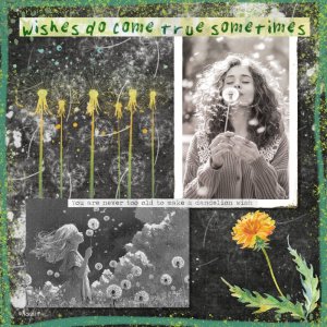 DANDELION WISHES