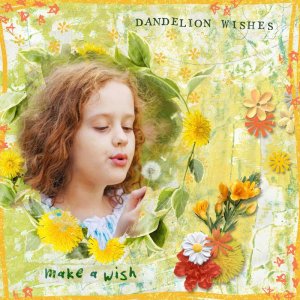dandelion-wishes-2--erin-wr.jpg