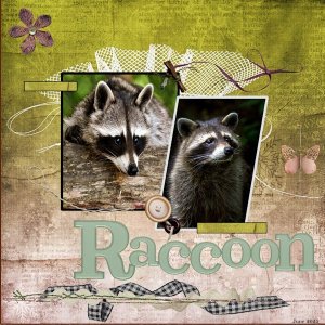 June 2025 Challenge -3- Page Sketch-Raccoon.jpg