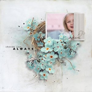 WildBloom