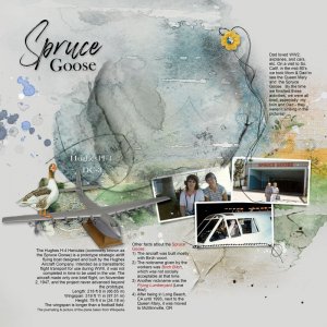 AnnaLift-Challenge-05.23.25---06.06.25_Spruce-Goose