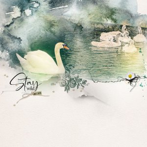 Swans for Anna LiftChallenge