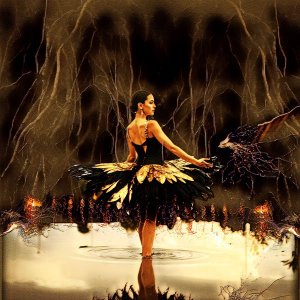 dancer reflections