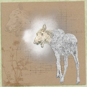 June-challenge-2-artist-interp.jpg