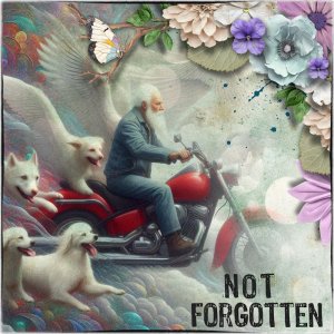Not Forgotten.