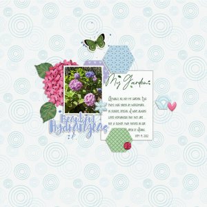 Beautiful-Hydrangeas.jpg