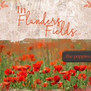 In-Flanders-Fields...jpg