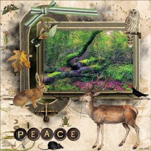 June 2025  - 7 - Recipe Challenge -Peace-Silence....jpg