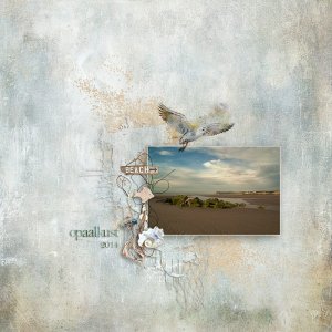 Life at the shoreline