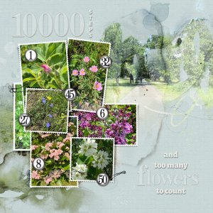 10,000 Steps-AnnaLift Challenge 06.06.25 - 06.20.25