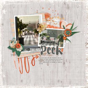TakingA-Peek.jpg