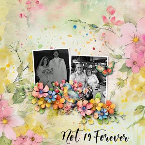 Not-19-Forever.jpg