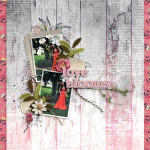 Love Blooms