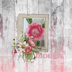 DAY 4 - JUNE 10 | Birthday Mini Kit | CHALLENGE blooms.jpg