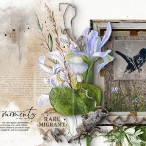 Everyday Moments at the Refuge