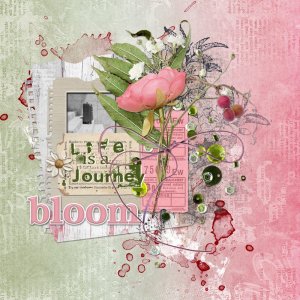 Day 4 Birthday Challenge-Life is a Journey Bloom