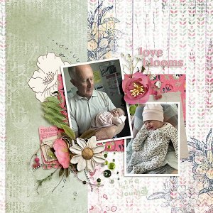Day 4 - Mini Kit - Love Blooms