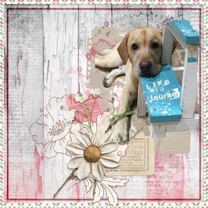 Birthday Challenge  Day 4 - Love Blooms
