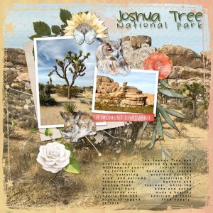 DAY-2-JUNE-8-TEMPLATE_Joshua-Tree-Nat'l-Park