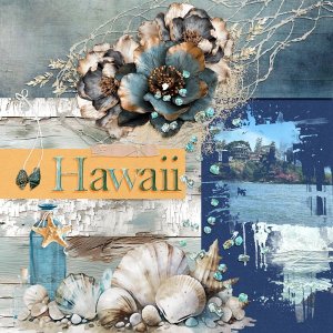 Life-At-The-Shoreline2.jpg