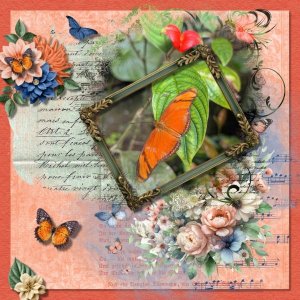 Butterfly