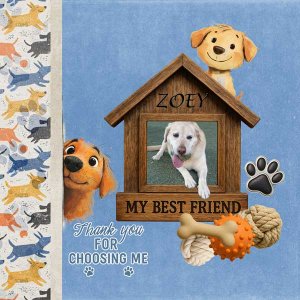 my-best-friend-minikit-et-d.jpg