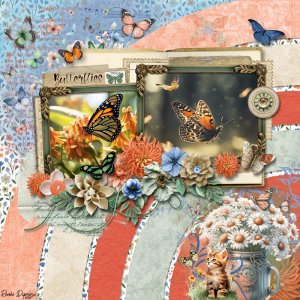 Butterflies and Daydreams