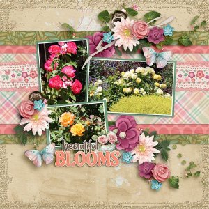 Beautiful Blooms