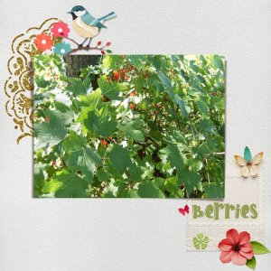 berries.jpg