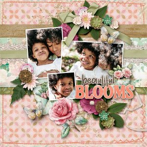 Beautiful Blooms