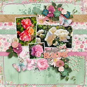 Beautiful blooms