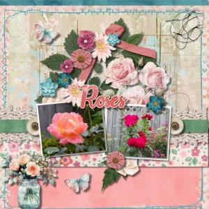 Roses