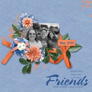 Friends