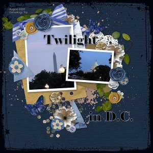 Day 2: Twilight in D.C.