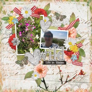 2025-04-11_WildLifeInBloom