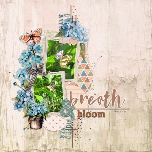 2025-03-07_Breath&Bloom