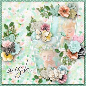 Wish
