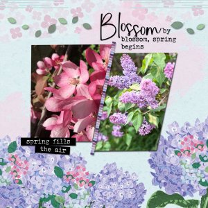 Blossom