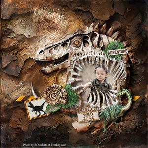 Wild Zone