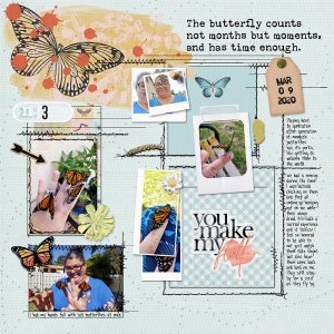 butterfly emergence day