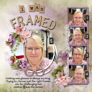 I Was Framed
