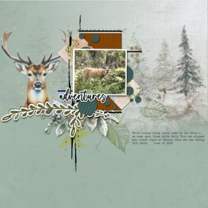June Challenge #4 - 52 inspirations adventures.jpg