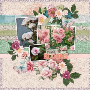 Roses.jpg