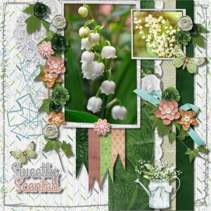Lily of the Valley