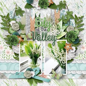Lily of the Valley
