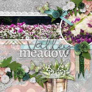 Valley Meadow