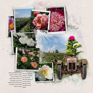 Peony Farm (left side)